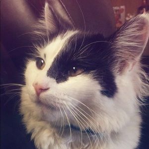 Meet your Posher, Johanna